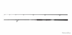 Canne Abu Garcia Beast Pike 2,42M 40-90G