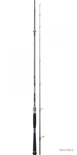 Divinity CANNE DIVINITY 2,60M 10-45G