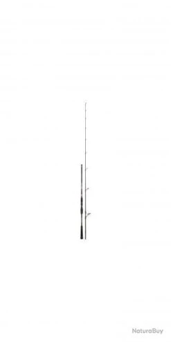 Bassforce Special Spinning CANNE BASSF.SP. 2,37M 70-150G -Offerte Carnassiers Negozio 00003 Bassforce Special Spinning CANNE BASSF.SP . 2 37M 70 150G