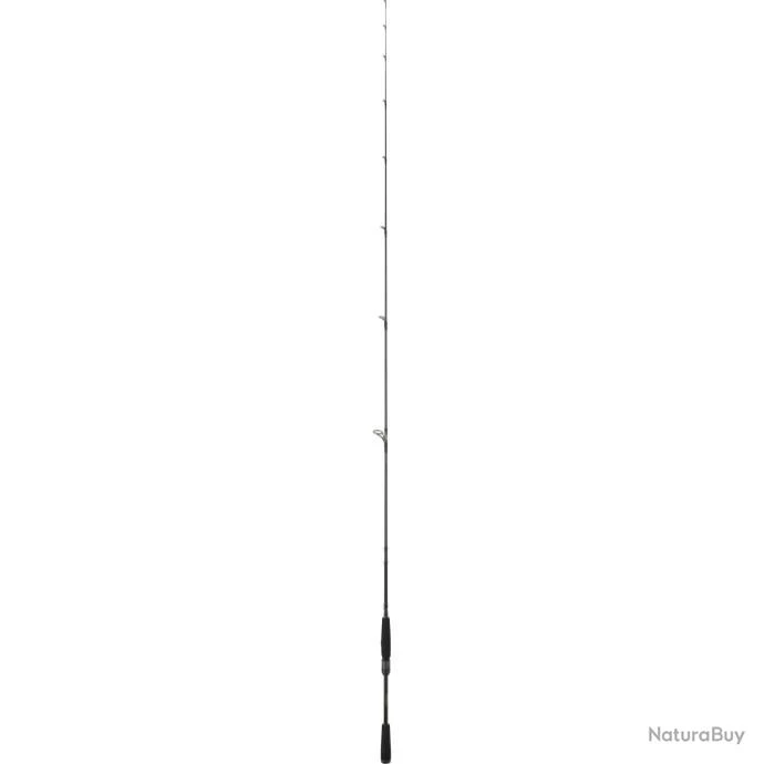 Canne Daiwa Prorex AGS Spinning - 2.44 M / MHFSBF / 2 6 Canne Daiwa Prorex AGS Spinning - 2.44 M / MHFSBF / 2 – Image 6