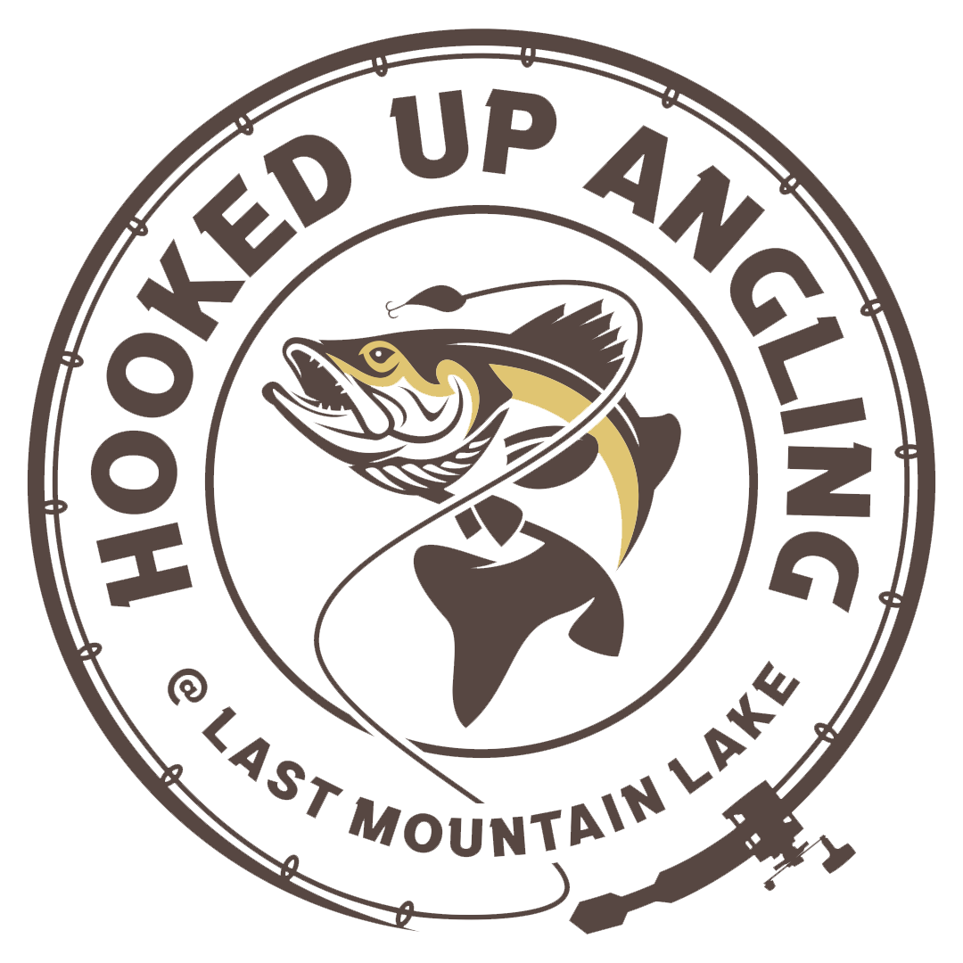 Offerte Carnassiers Negozio